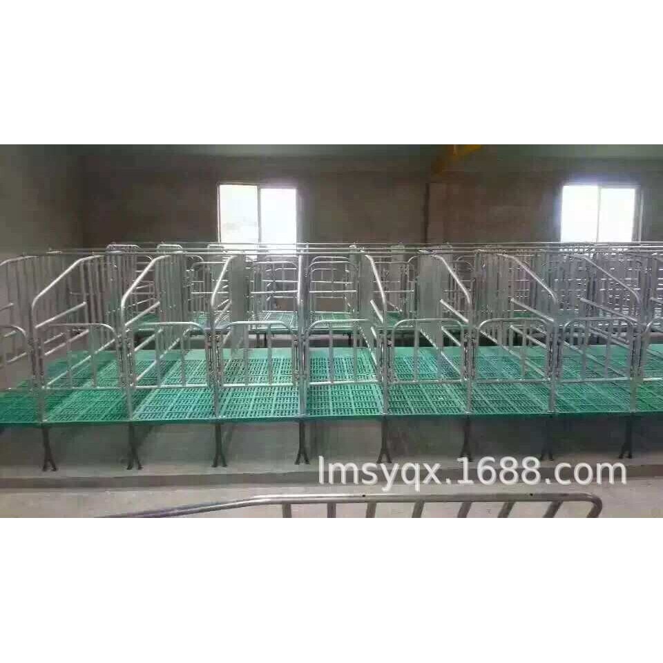 母猪定位限位栏带复合漏粪板定位栏高档母猪限位栏10个位带食槽