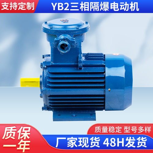 75KW三相隔爆电机纯铜质保一年