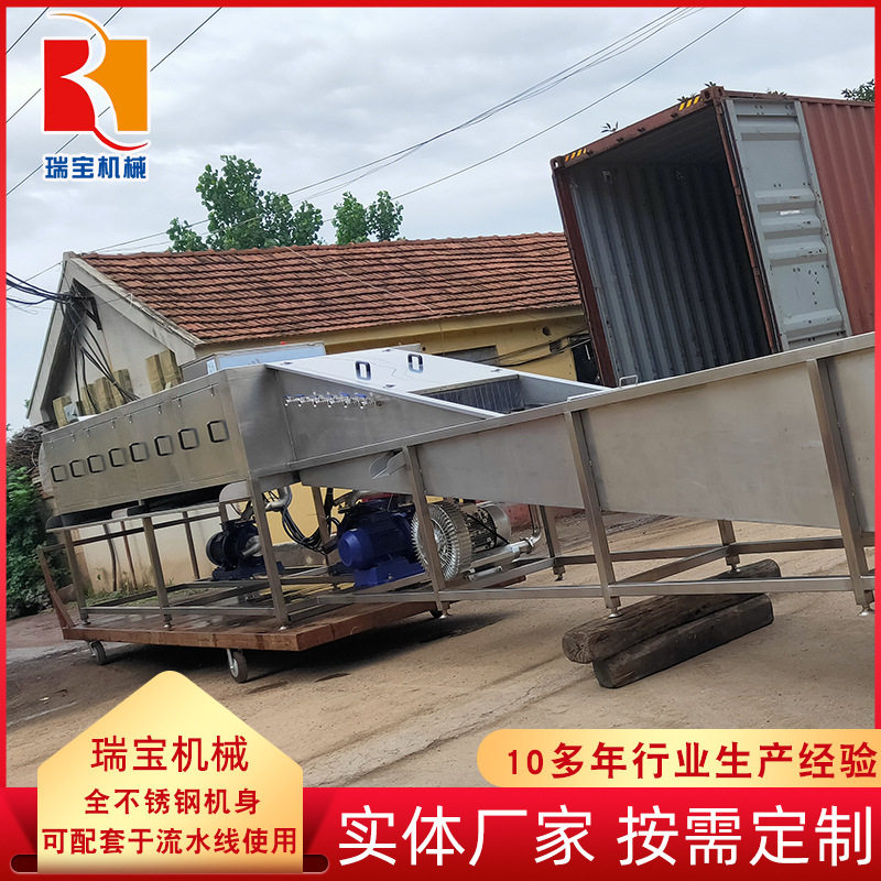 山东大姜去泥清洗机 洗姜机 洋姜清洗挑选线 黄姜洗姜机