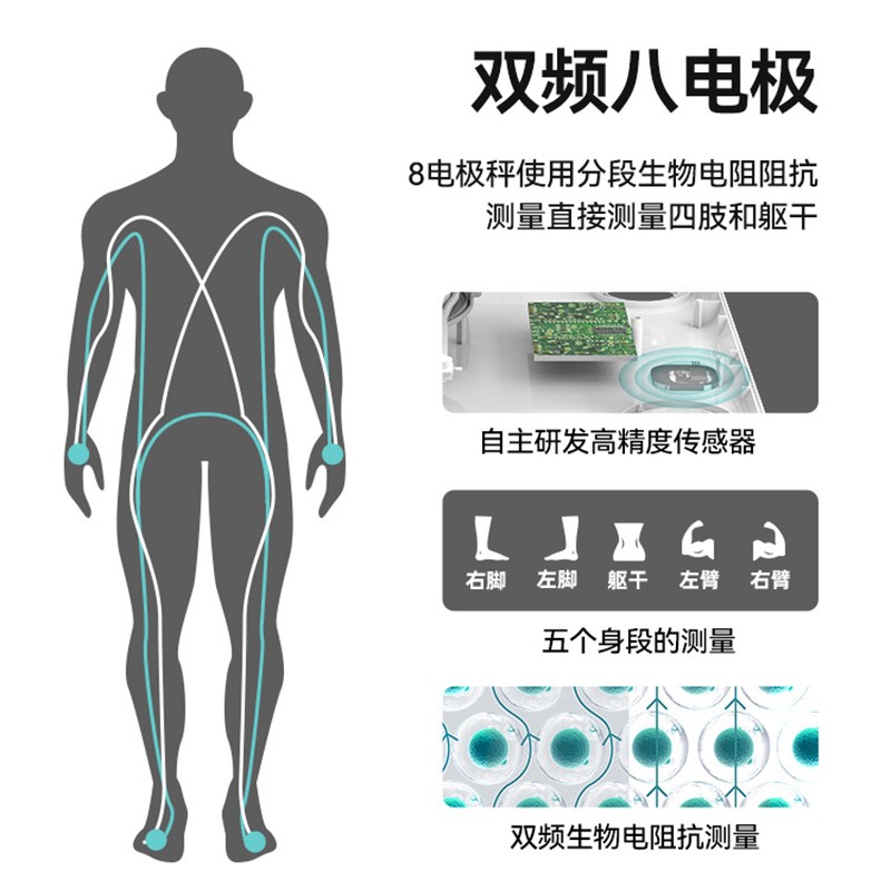 新品八电极测脂体脂称智能家用app精准人体W秤便携体重秤