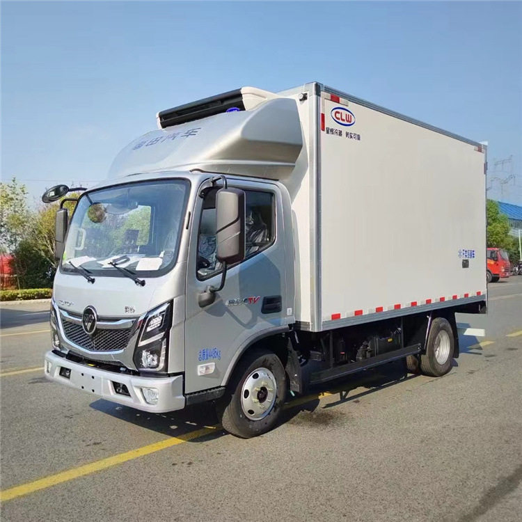 跨境冷藏车 国六蓝牌冷藏车  冻货海鲜猪羊肉配送保温车|厢式货车