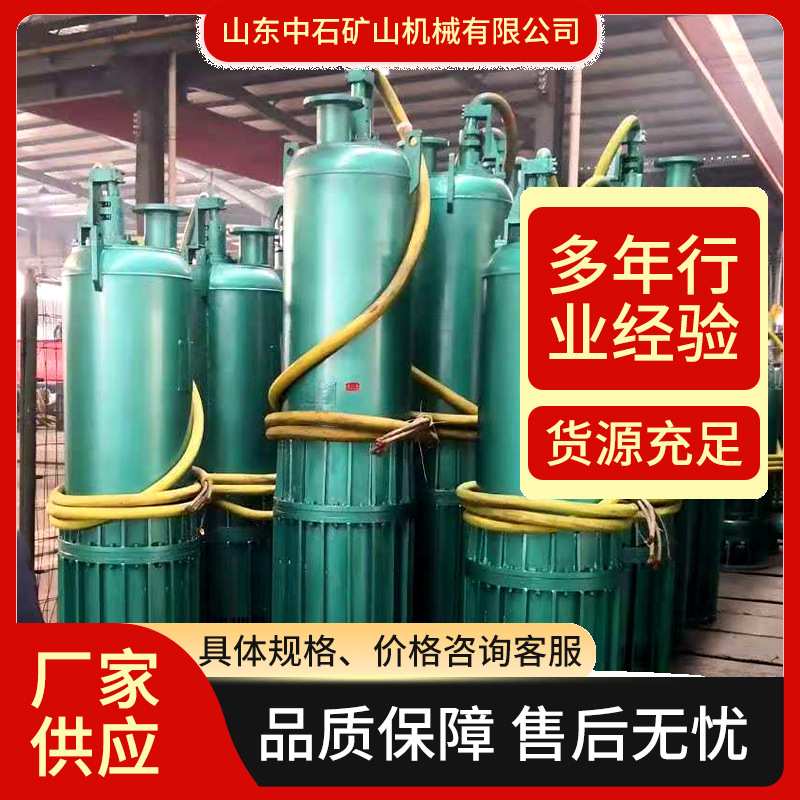 工业用污水清水两用潜水泵 BQS120-70-45/B矿用隔爆型潜水排沙电