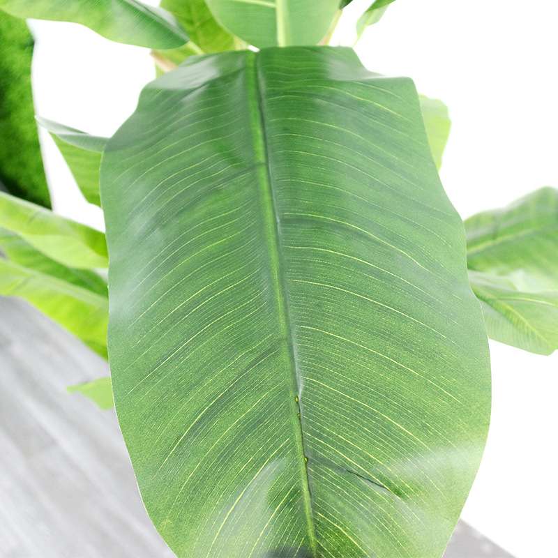 亚马逊大型仿真植物芭蕉树盆栽橱窗落地装饰热带绿植香蕉树盆景