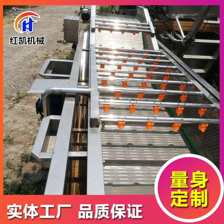 全自动鱼类海产品气泡清洗机 气泡冲浪式洗鱼机 海产品加工设备
