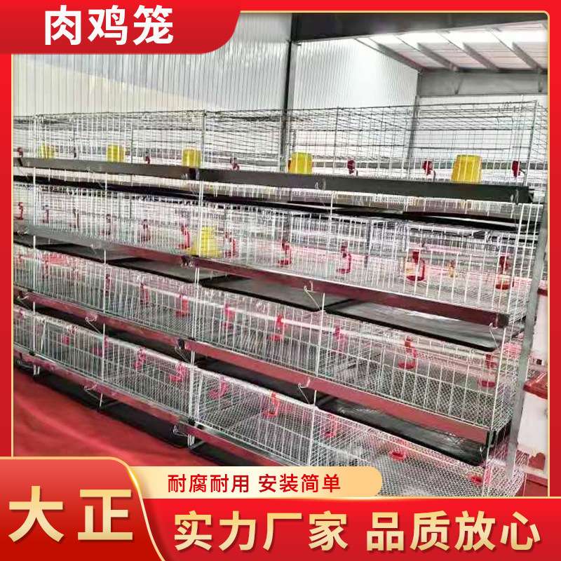 全自动肉鸡笼养殖场大型专用笼单层多层肉鸡蛋鸡笼肉鸡饲喂笼具