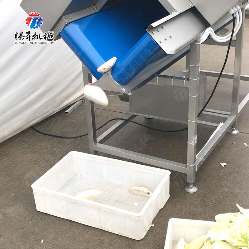 V型输送带 水果分半 格规可定 可组作业线 节瓜黄瓜水瓜分半设备