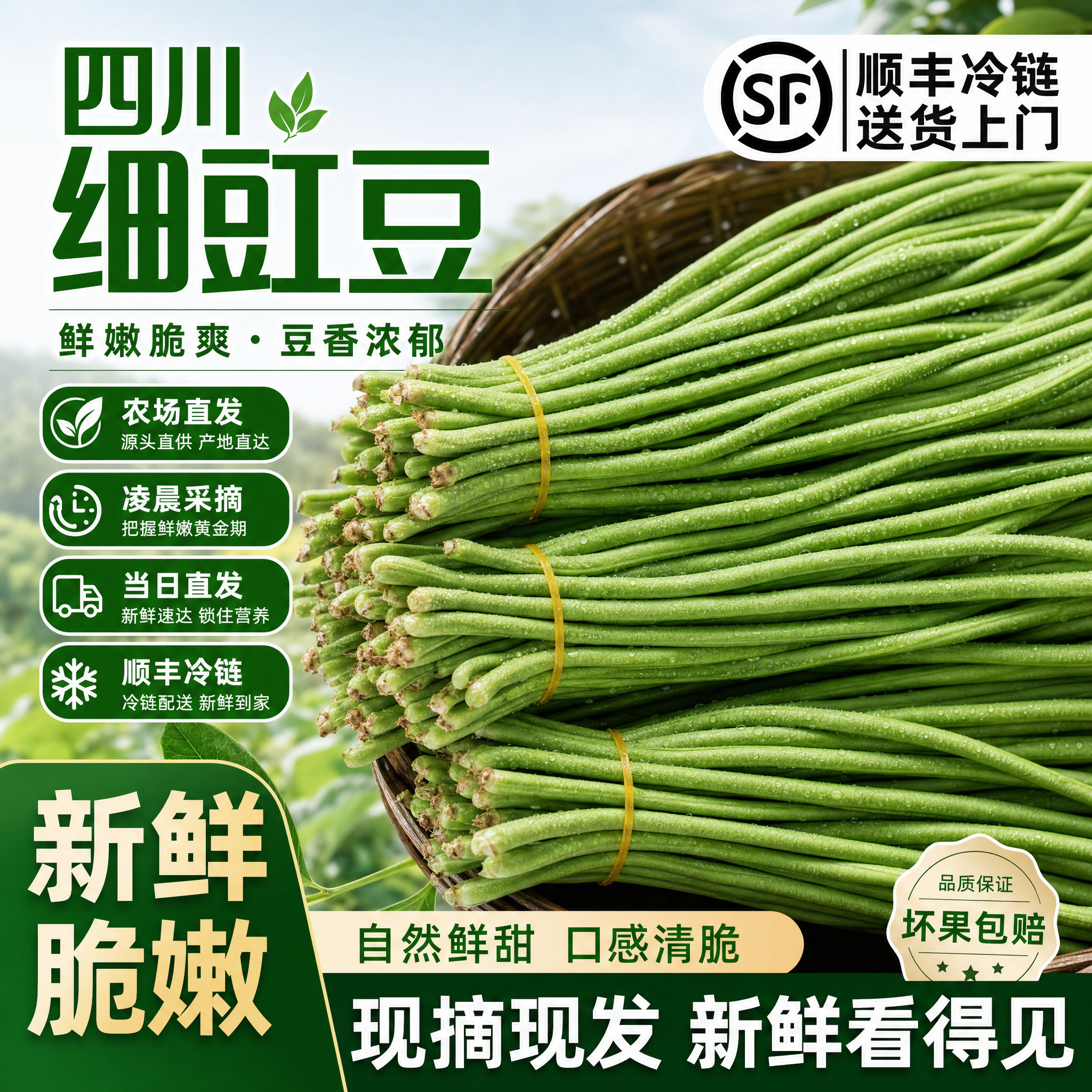 四川特产细长泡豇豆脆甜无丝无筋农家当季新鲜蔬菜