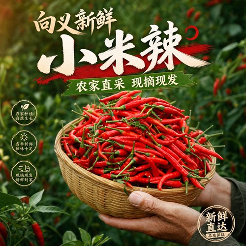 四川小米辣现摘农家自种特辣