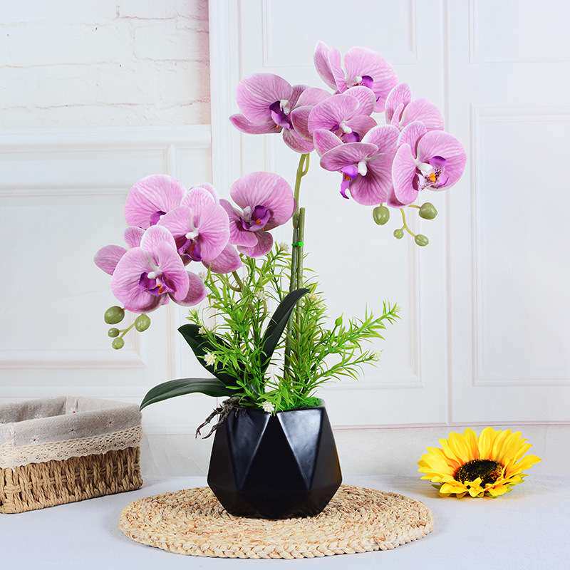 3D打印手感高仿真蝴蝶兰假花仿真花套装摆件客厅餐桌搭配花盆摆设