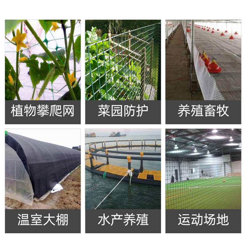 塑料网格网 养鸡养鸭网 户外圈地防护围栏网 水产养殖育苗网