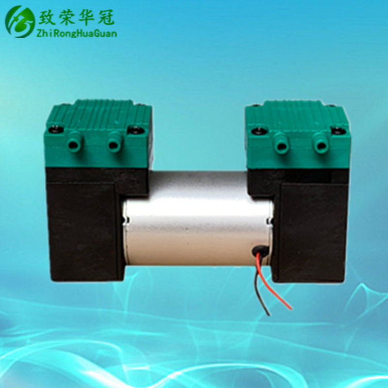 双头微型隔膜真空泵12/24V