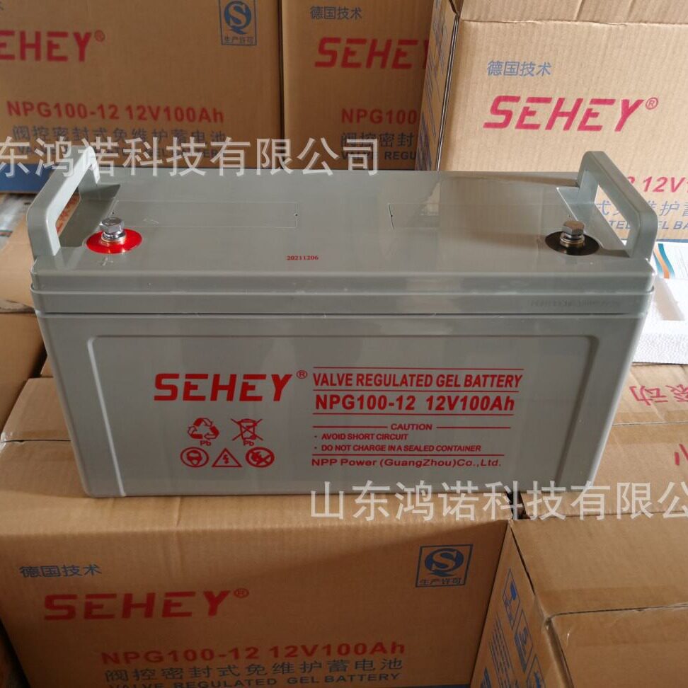 SEHEY蓄电池12v40ah西力免维护铅酸NPG40-12电厂直流屏UPS电源