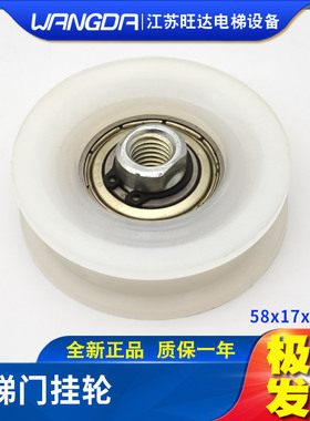 江南快速/易升/通力电梯门挂轮 58*17*6002 滚轮MS门挂轮 配件