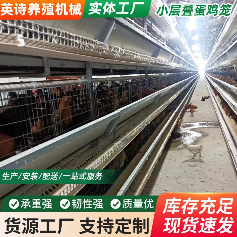 青年鸡笼 多层阶梯式蛋鸡笼 鸡笼子加粗 养殖笼具 养殖设备