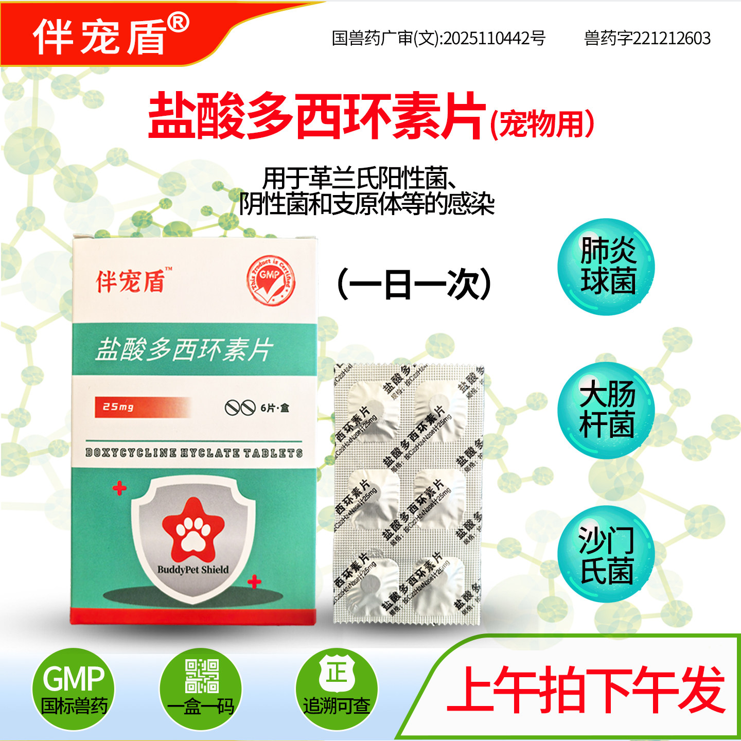 狗狗感冒发热清热解毒