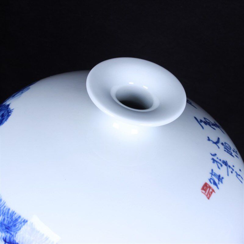 陶瓷工艺品大师手绘青花瓷釉下彩山D水荷花梅瓶家居收藏装饰柜摆