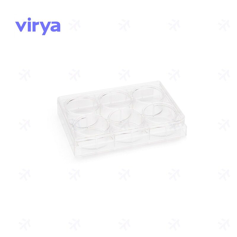 3514809 Virya? 细胞培养板 等离子处理 48孔板1个/袋50袋/箱