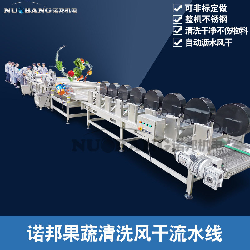 大型果蔬清洗风干榨汁流水线现货