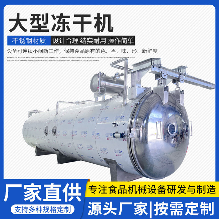 水果蔬菜真空冻干机草莓芒果脱水冻干机莲藕真空干燥箱