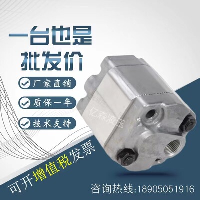 意大利Hydronit齿轮泵E6060