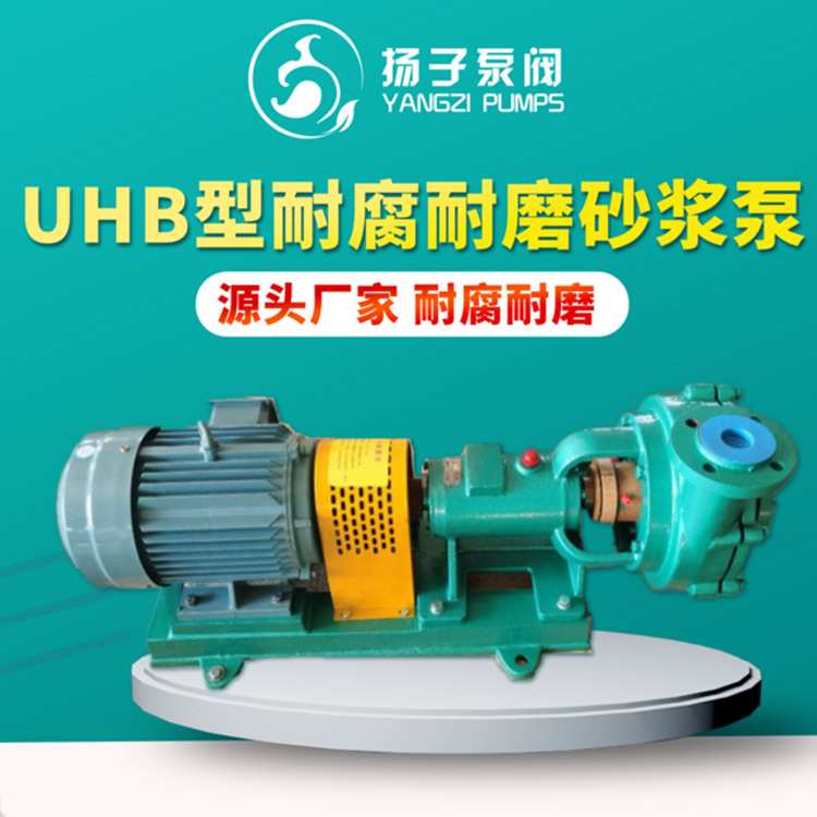 UHB卧式化工砂浆泵 50UHB-ZK-20-30 湿法冶炼脱硫除尘 尾矿泵