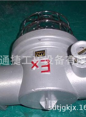 DGS40/127Y(A)矿用隔爆型无极荧光灯  L矿用DGS防爆荧光灯 隔爆灯
