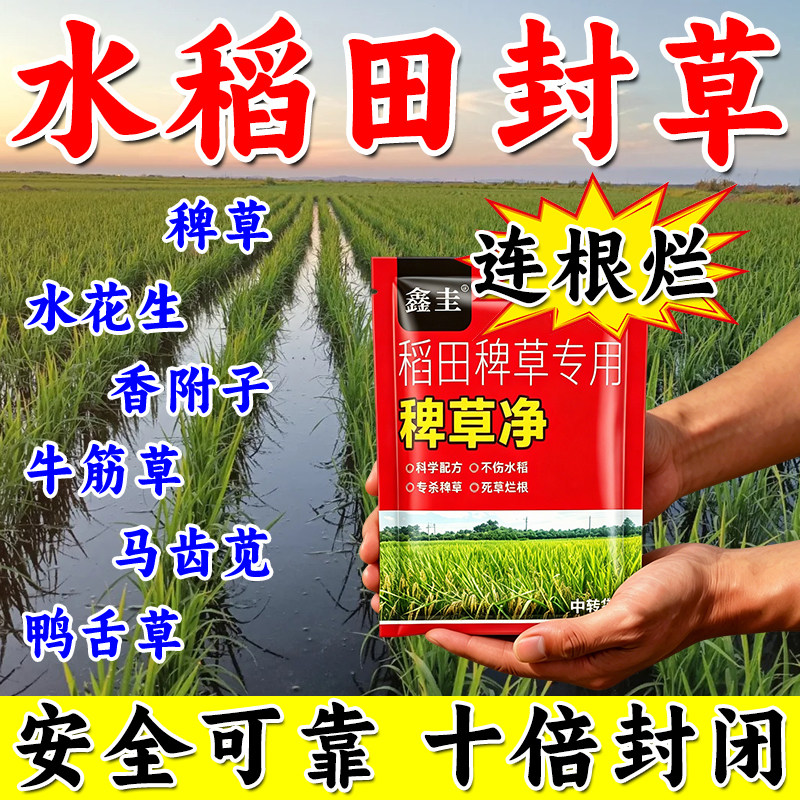 水稻苗后专用打草渗透液田水游千金子牛筋水花生连根清杂草一扫光