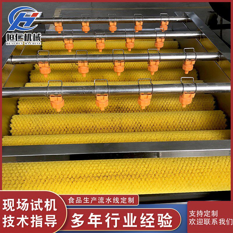 平型毛辊清洗机 毛桃黄桃平行毛辊清G洗机 根茎类毛刷清洗机设备