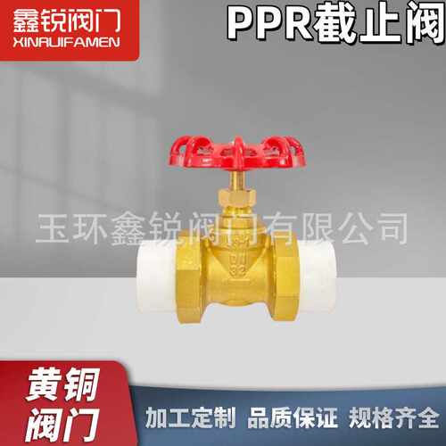 黄铜加厚热熔PPR双活接截止阀自来水管道PPR20 25 32 40 50 63