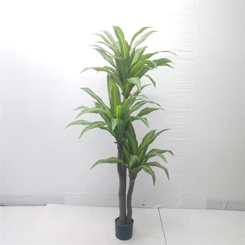 巴西铁树 北欧风p客厅植物落地盆栽 室内树绿植盆景