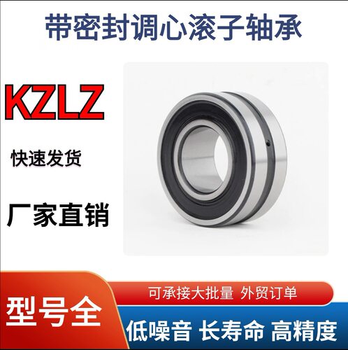高温BS2-2220-2CS BS2-2224 BS2-2226 BS2-2222密封调心滚子轴承