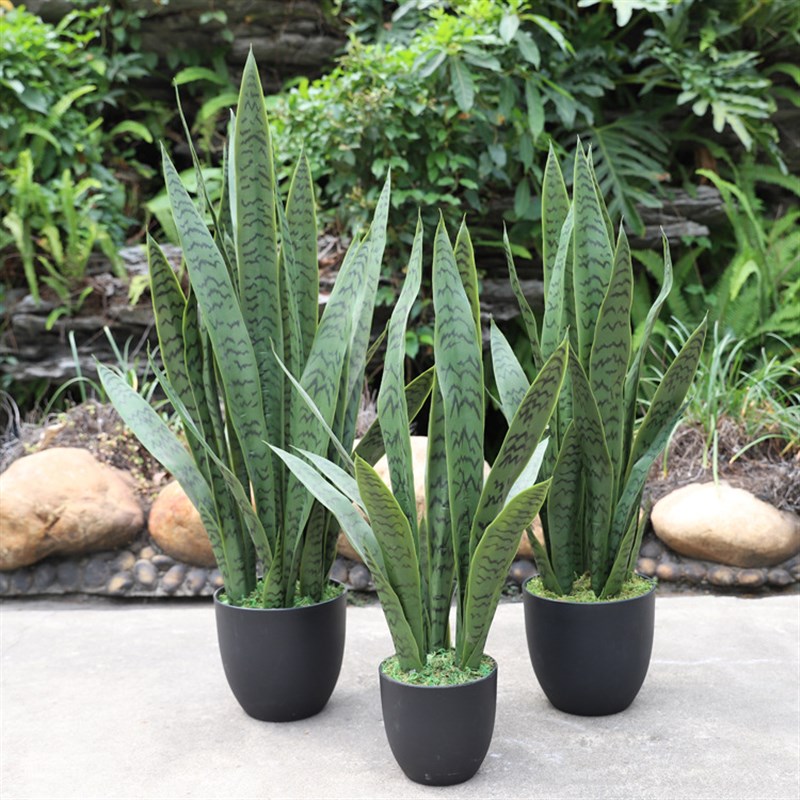 仿真绿植虎皮兰 黄边盆栽人造假植物软质pvc室内 仿真虎尾兰