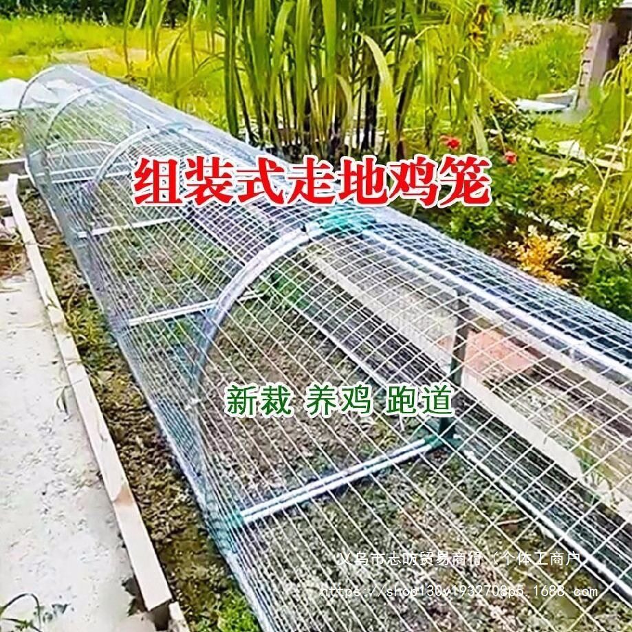 铁网鸡笼兔笼户外散养隧道笼