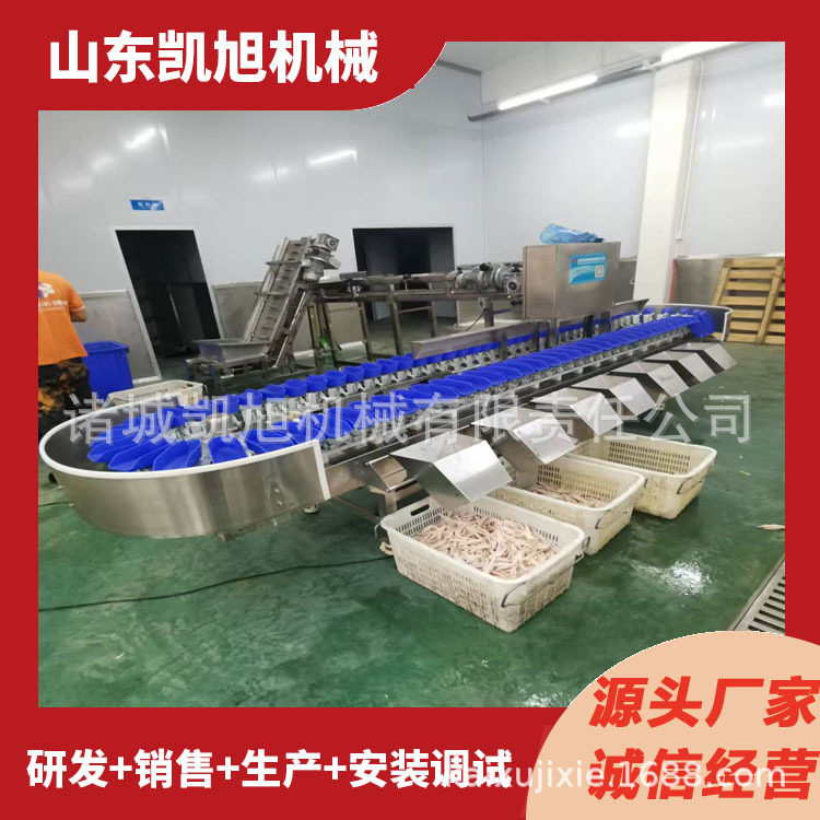 单冻鲅鱼鲫鱼马哈鱼分级选别机