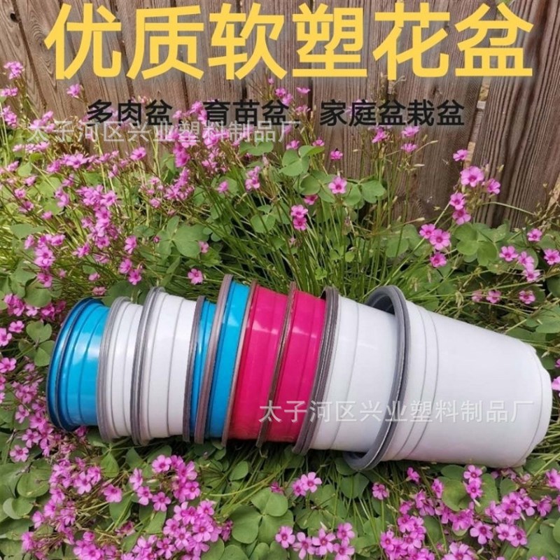 PP双色花盆塑料花盆白色多肉育苗盆黑色塑料花盆种V植双色育苗花