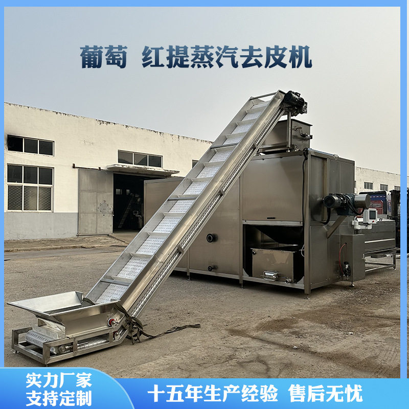 葡萄蒸汽去皮清洗线红提青提