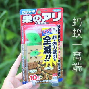 日本消灭蚂蚁药家用无毒灭杀小蚂蚁去除厨房室内外全窝端净花盆1