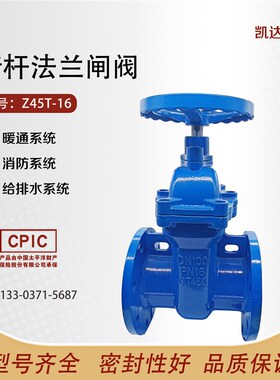 Z45T-16暗杆铜芯闸阀不锈钢杆铜芯 铜杆铜芯 DN50 65 80 100 150