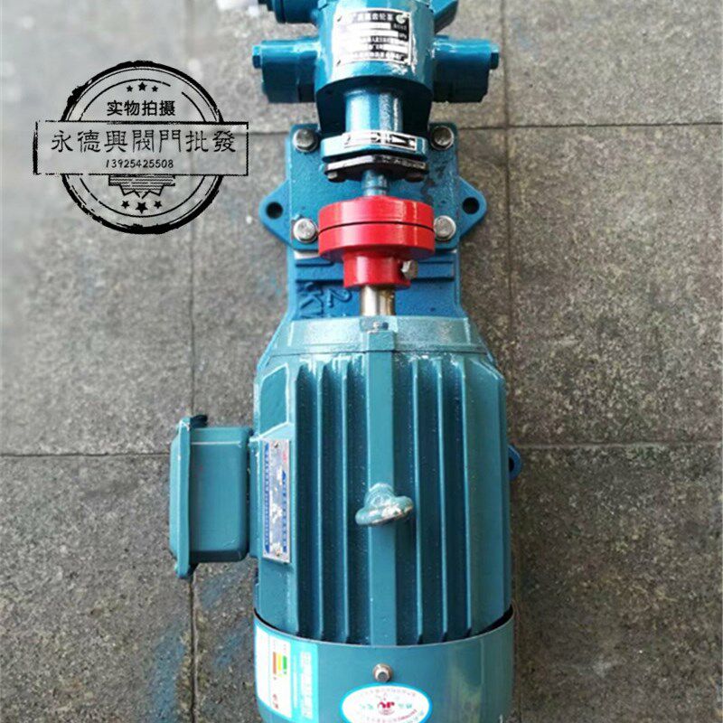 齿轮油泵电机组KCB两相220v机油柴油泵380V大流量高压输油自吸泵