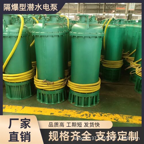 BQS矿用隔爆排污排沙潜水泵