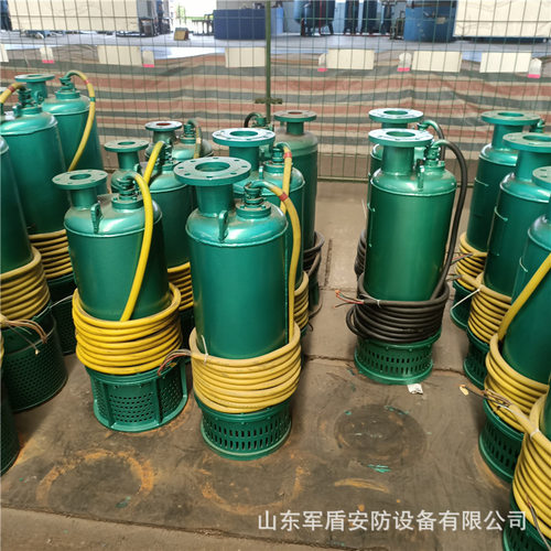 矿用铸铁防爆BQS800-90-315/NKW排沙潜水泵 隔爆型机械密封电动泵