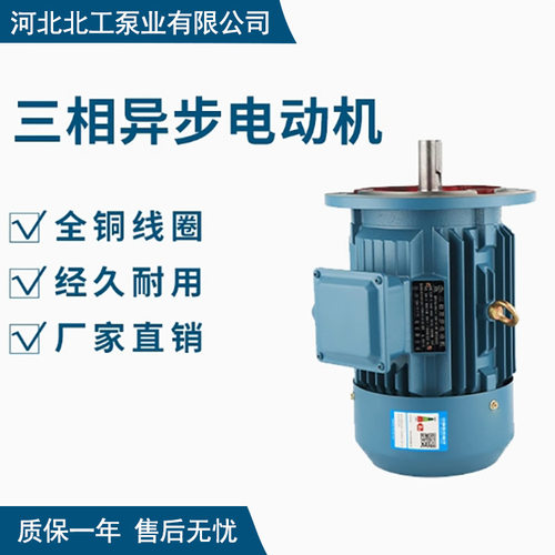 YE3系列7.5KW22kw30kw卧式三相异步电机2极4极电动机全铜线圈