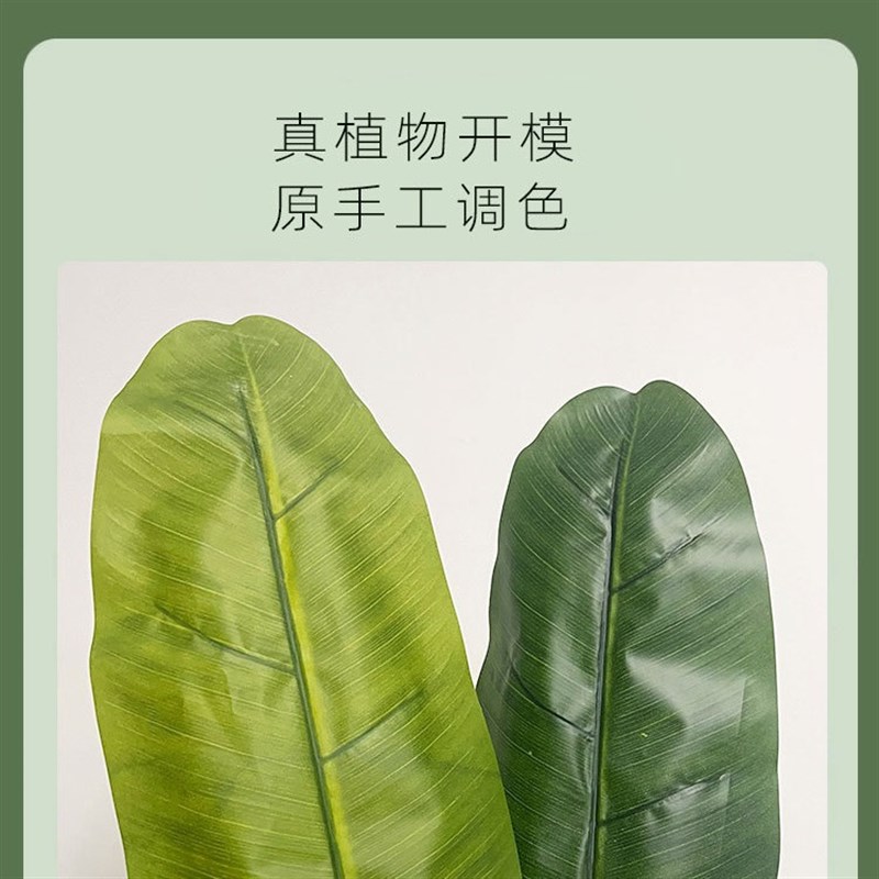 大型仿真绿植芭蕉树盆栽室内客厅大型装饰品假植物香蕉树摆件造景
