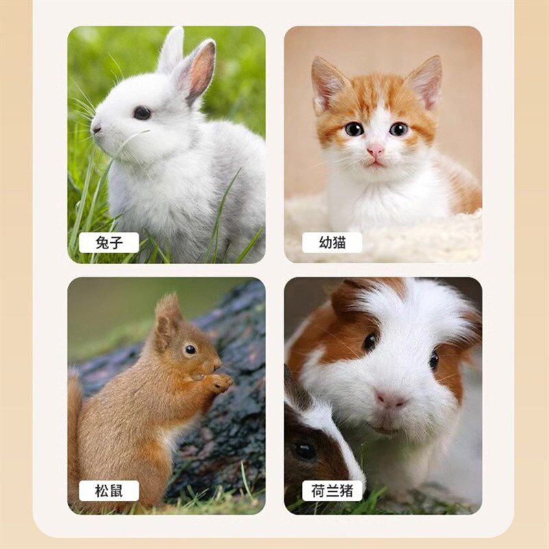 厂家猫笼兔笼小宠物笼滑梯笼豪华双层仓鼠笼滑轮多层宠物兔笼