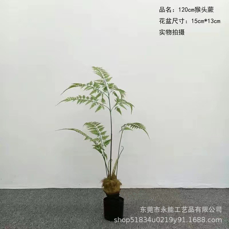 仿真猴头蕨金毛狗蕨假树室内中式园林系庭院造景装饰绿植物 盆栽