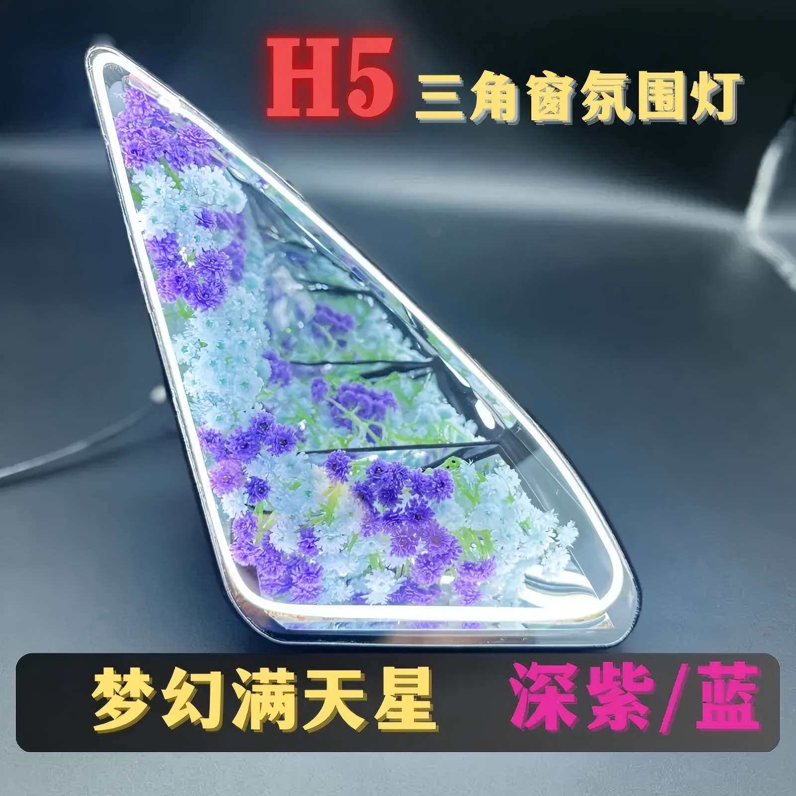 23-25款红旗H5三角窗氛围灯个性花朵三角窗迎宾灯氛围灯装饰效果