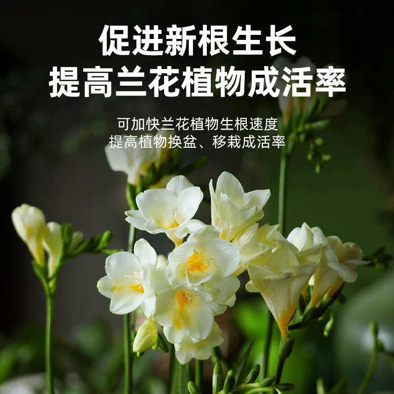 兰花专用营养土种养君子兰墨兰蝴蝶兰科专用植料松树皮 兰花土