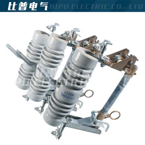 RW12-15/100A-200A高压户外跌落式熔断器令克开关保险10-12KV直销