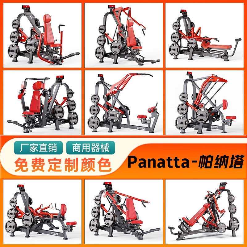 panatta器械帕纳塔健身器材健身房专用全套器械背腿胸部健身器材