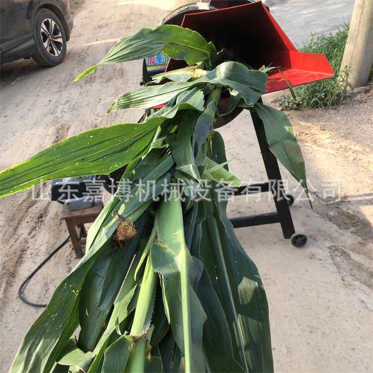 多功能电动打浆机 鲜秸秆青草牧草打浆机 福建养鸭养鹅瓜果粉碎机